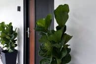 AlutechDoor Single Door DT601W
