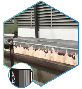 D Trinology for website 3