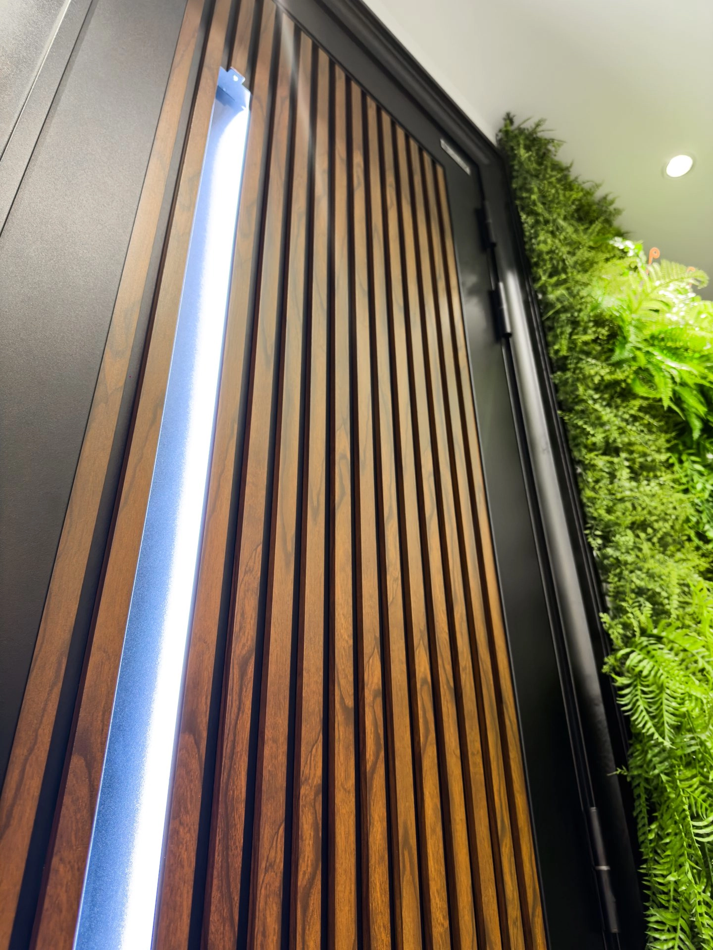 Security door Malaysia Aluminum door Luxury security door Delux security door price Aluminium security door Alutechdoor Security door design for home Best safety door Best security door malaysia Modern security door Security door design Double Door DT663W