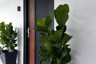 AlutechDoor Single Door DT601W