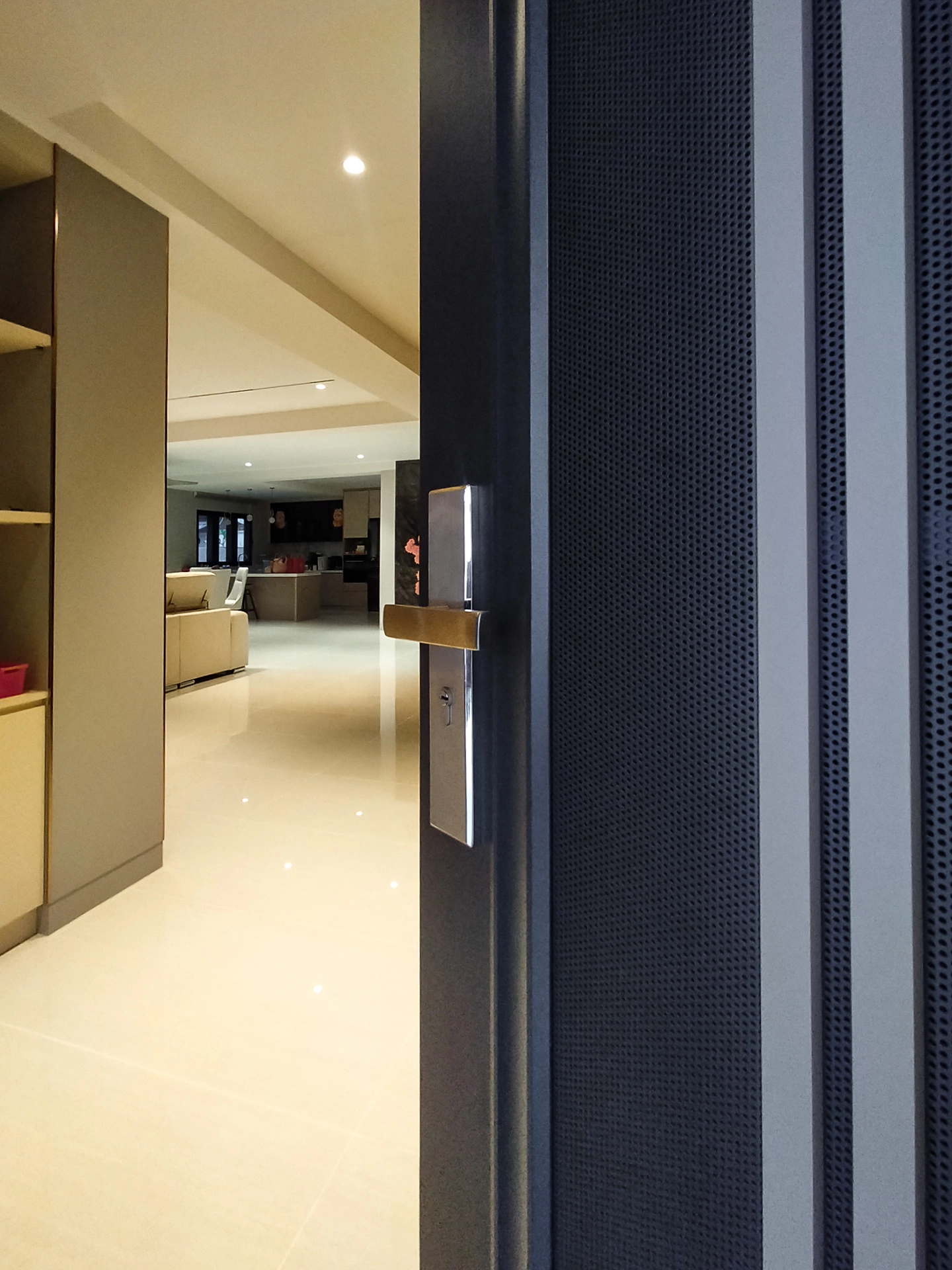 Security door Malaysia Aluminum door Luxury security door Delux security door price Aluminium security door Alutechdoor Security door design for home Best safety door Best security door malaysia Modern security door Security door design Double Door DT603P